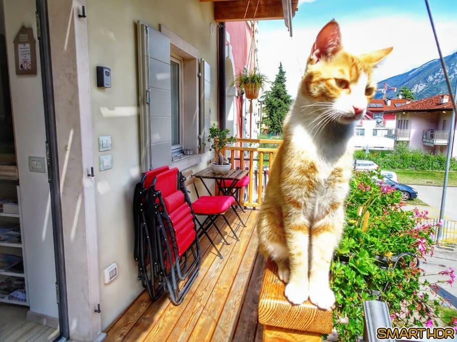 Antica Casa Alboletta - Appartamento Frida Kahlo Riva del Garda Eksteriør bilde